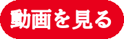 動画を見る